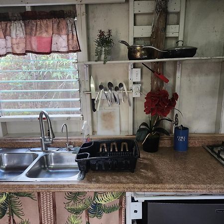 Cabin 2-Rustic Private Stay Near Volcano National Park Fern Forest 외부 사진