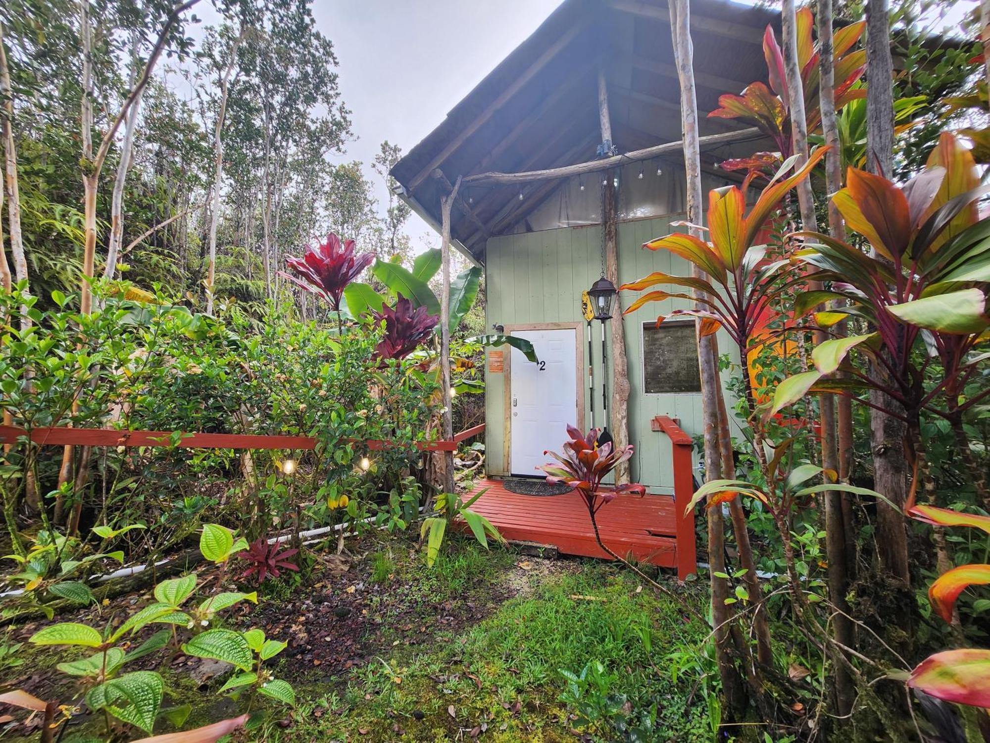 Cabin 2-Rustic Private Stay Near Volcano National Park Fern Forest 외부 사진